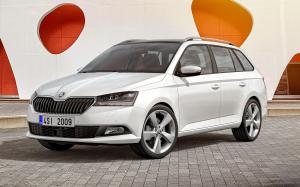 Skoda Fabia Combi 2018 года (WW)